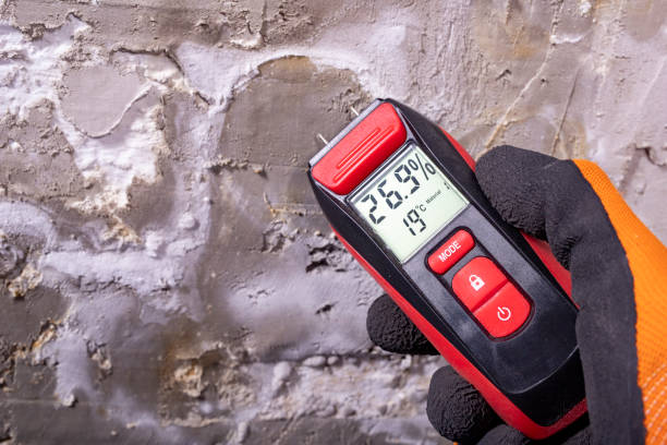 Office Mold Removal Services in Granite Falls, NC