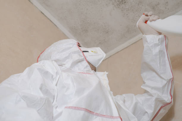Best Affordable Mold Removal  in Granite Falls, NC