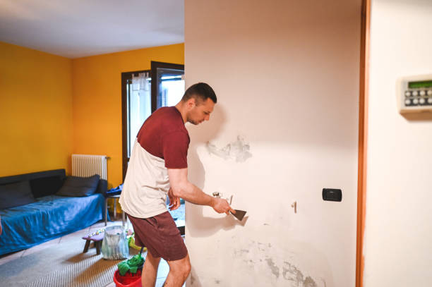 Best Same-Day Mold Removal  in Granite Falls, NC