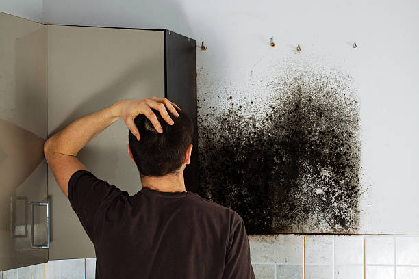 Best Home Mold Removal  in Granite Falls, NC